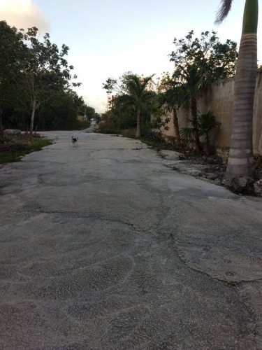 Imagen 4 de 8 de Renta De Terreno Ideal Guardar Material Cercano A Colegios En Cancún Rd06421