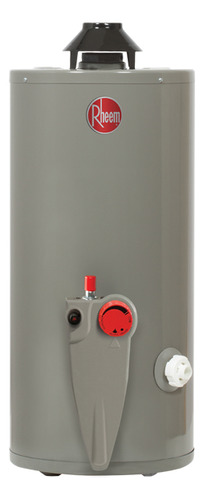 Calentador De Agua Rheem De Depósito 38 Litros A Gas Natural