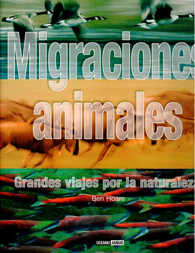 Migraciones Animales 