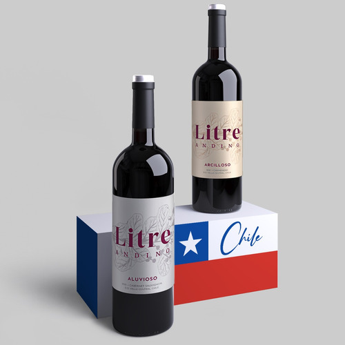 2 Vinhos Tintos Secos Chilenos - Seleção Especial Versáteis