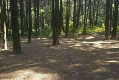 Imagen 1 de 8 de Terreno En Venta En Contadero