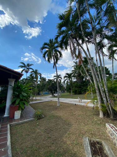 Venta De Quinta En Las Morochas. San Diego 15000 M2. G.g