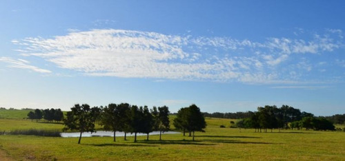 Venta De Chacra En José Ignacio, Maldonado.