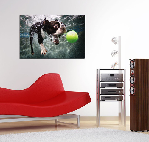 Vinilo Decorativo 60x90cm Bull Dog Frances Bajo El Agua