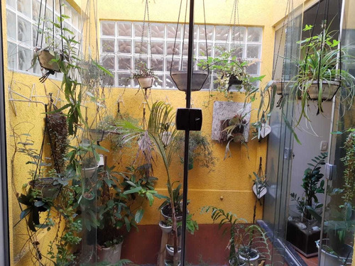 Imagem 9 de 14 de 2.400m², Condomínio, 05 Dormitórios, Churrasqueira E Piscina