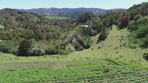 Sitio En Venta En Ancud Sector Faro Corona