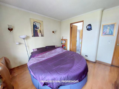 Departamento Apumanque/linneo