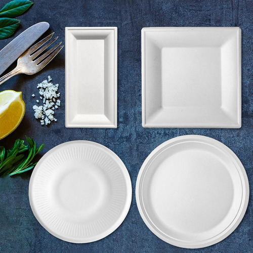 Platos Rectangulares Para Trajes De Mesa, 50 Unidades, Desec