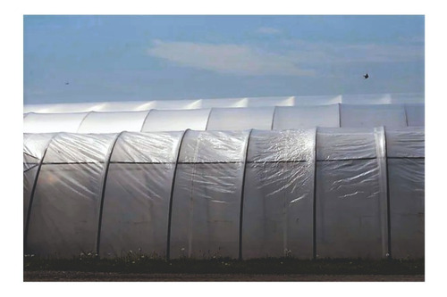 Imagen 2 de 7 de Nylon Invernaculo Agropecuario Uv - Ancho 4,20 Mts. Promo