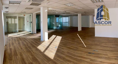 Imagem 1 de 7 de Sala Para Alugar, 207 M² Por R$ 8.900,00/mês - Centro - Florianópolis/sc - Sa0078