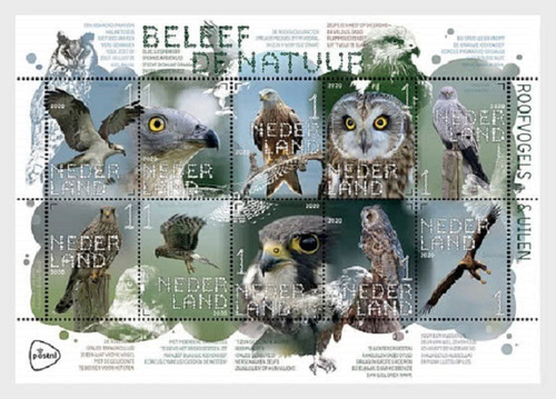 2020 Fauna- Aves  Rapaces- Países Bajos (hojita Bloque) Mint