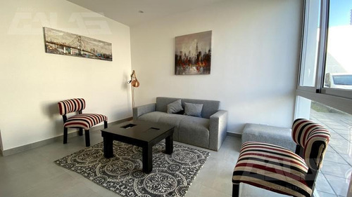 Imagen 5 de 15 de Hermoso Duplex A Estrenar Villa Ariza