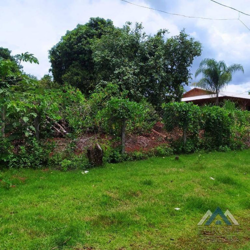 Chácara Com 2 Dormitórios À Venda, 5005 M² Por R$ 470.000,00 - Dom Pedro I - Londrina/pr - Ch0158