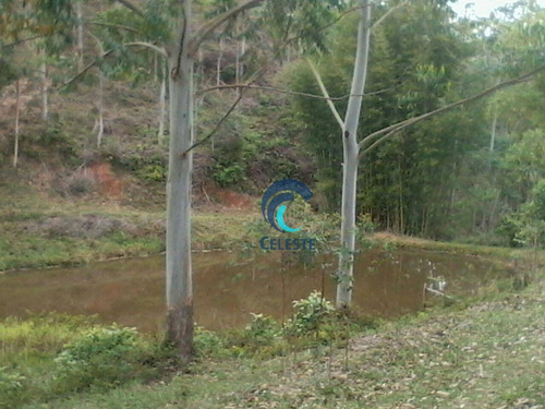 Imagem 19 de 19 de Sítio À Venda, 251 Mil M² São Francisco Xavier/sp - Si0012