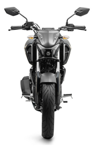 Fz15