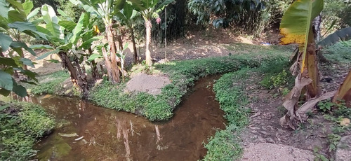 Imagem 8 de 26 de Juquiá/oportunidade/chácara Rica Em Água E Área De Plantio/ref:05354