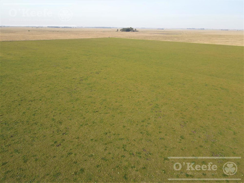Imagen 8 de 29 de Campo Mixto De 170 Has En San Vicente. Oportunidad!