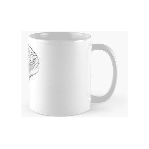 Taza Impresión De Milpiés De Hierro Calidad Premium