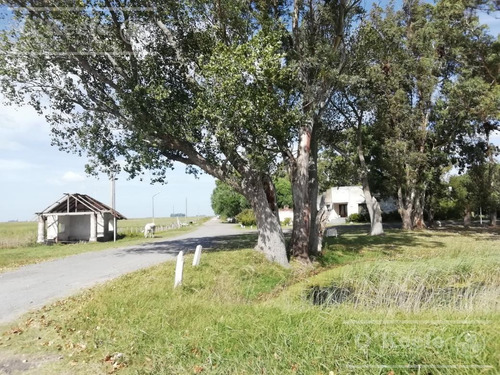 Imagen 14 de 21 de Dolores, 100 Has En Venta. Campo Ganadero Para Armar.