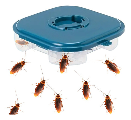 Caja Para Atrapar Cucarachas De Veneno Para Mata Cucarachas