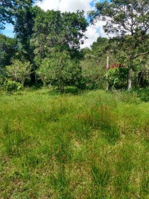 Ótima Chácara Na Praia De Itanhaém,confira! 7715 J.a
