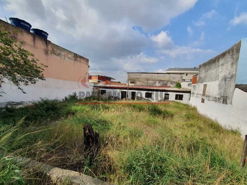 Imagem 4 de 15 de Excelente Terreno - Financia Penha Circular. - Pamf00041