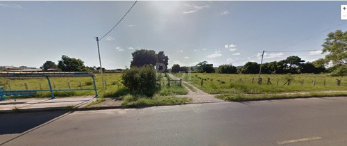Terreno Em Hípica - El56356254