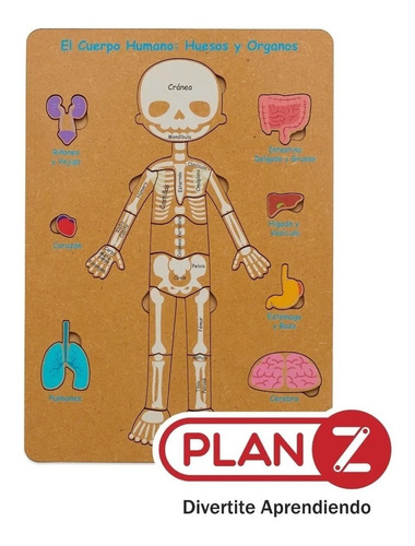 Juego Didáctico Encastre Madera Cuerpo Humano Puzzle Plan Z