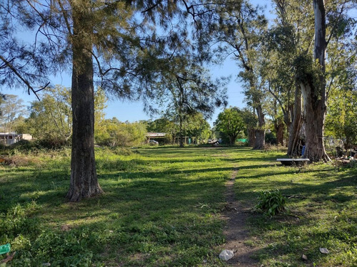 Imagen 7 de 21 de Terreno En Venta - La Lonja - Pilar