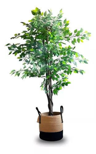 Planta Artificial Interior Grande Arbol Ficus 1.60 Mts Deco