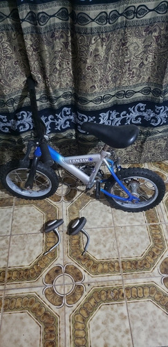 Bicicleta De Niño Pequeño Azul Usada 