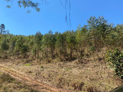 Imagem 6 de 14 de 7a Igaratá Terrenos