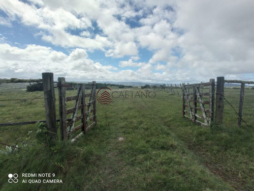 Imagen 1 de 25 de Venta De Campo, Maldonado.campo De 41 Hectáreas, Próximo A Pueblo Edén - Pueblo Eden