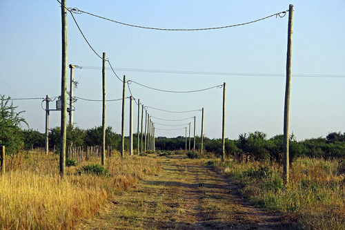 Imagen 12 de 14 de Venta De Lotes En Cortaderas Aguada De Pajaros