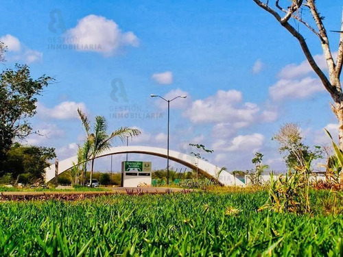 Imagen 7 de 7 de Terreno En Venta En Residencial Phúla Dzidzilché, Yucatán. C