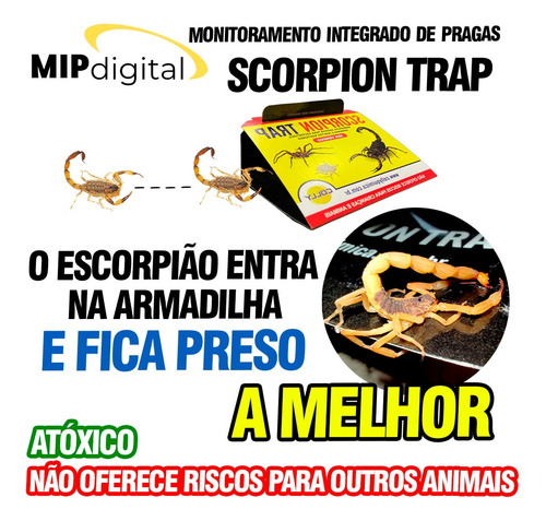 Armadilha Adesiva Para Escorpião Colly Scorpion Trap 3 Und