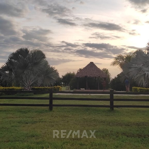 Imagen 12 de 14 de En Venta Finca Productiva En Dos Caminos Guárico