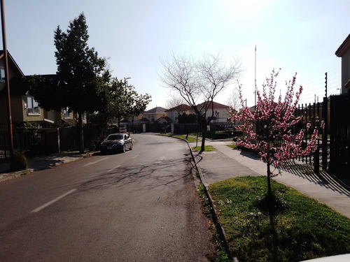 Consistorial/altos Del Parque Norte (91825)
