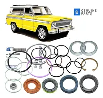 Comprar Wagoneer 1974-1983 Kit Cajetin Dirección Hidraul Original Gm