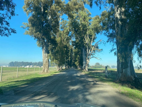 Venta Lote Villa De Campo Tres Pinos Barrio Norte Gral. Rodriguez