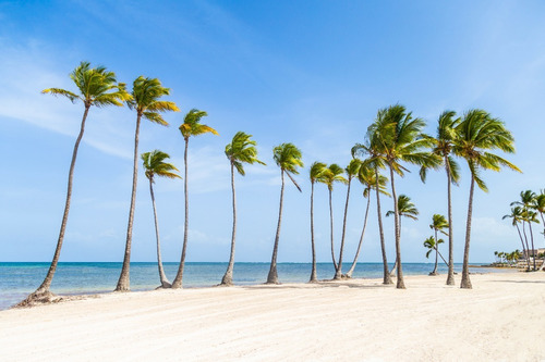 Imagen 9 de 15 de Exclusivos Apartamentos En La Marina De Cap Cana