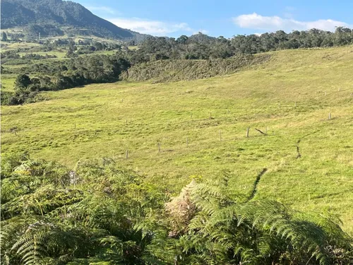 1016. Lotes En Venta, Guasca