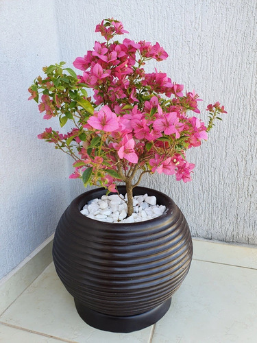 3 Vasos De Planta Bola Redondo Decorativo Polietileno 30x40 | Parcelamento  sem juros