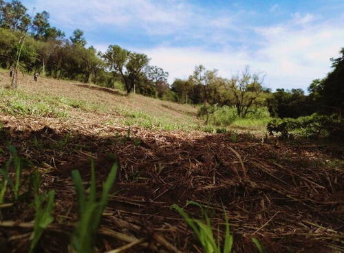 Imagem 3 de 5 de Ts/projeto De Chácara Pra Você No Interior De Sp