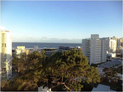 Venta De Apartamento 2 Dormitorios, En Playa Brava.