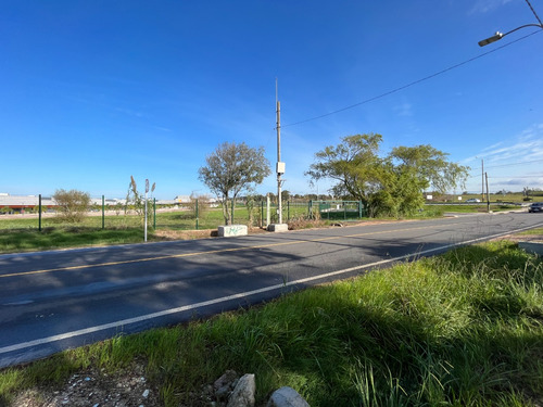 Almenara A Metros De Ruta Interbalnearia - Fte Almenara Mall Y Prox Car One, La Tahona Y Aeropuerto