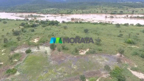 Imagem 3 de 6 de Fazenda - Zona Rural - Ref: 5483 - V-mta5483