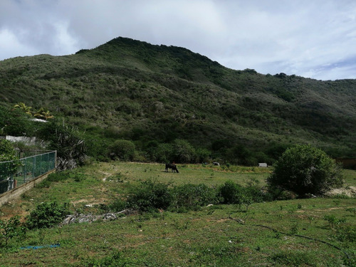 Terrenos En Venta Via Principal Guarame, Municipio Antolin Del Campo