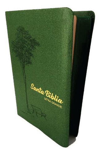 Biblia Rvr1960 Letra Grande Tapa Blanda Verde