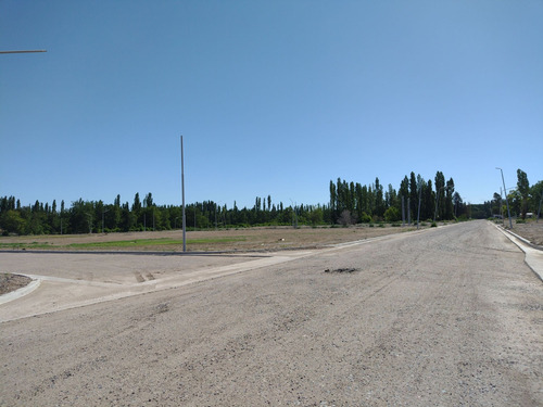 Imagen 11 de 16 de Venta-terreno En Barrio Mirasur Plottier